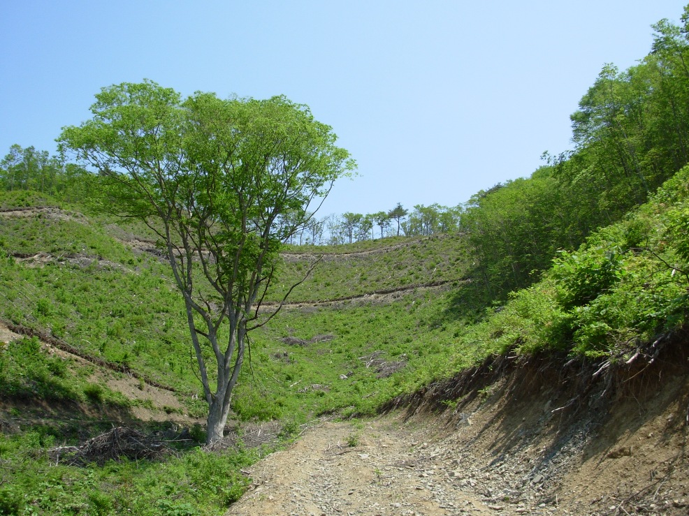 090820全景2